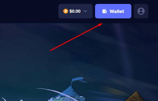 Duel Wallet na registratie